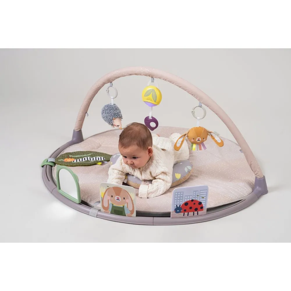 Taf Toys Tummy-time Activity Gym