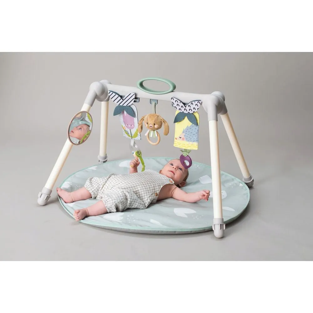 Taf Toys Urban Garden Foldable Baby Gym