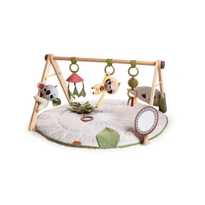Tiny Love Boho Chic Gymini® Deluxe