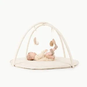 Wholesale Baby Activity Gym