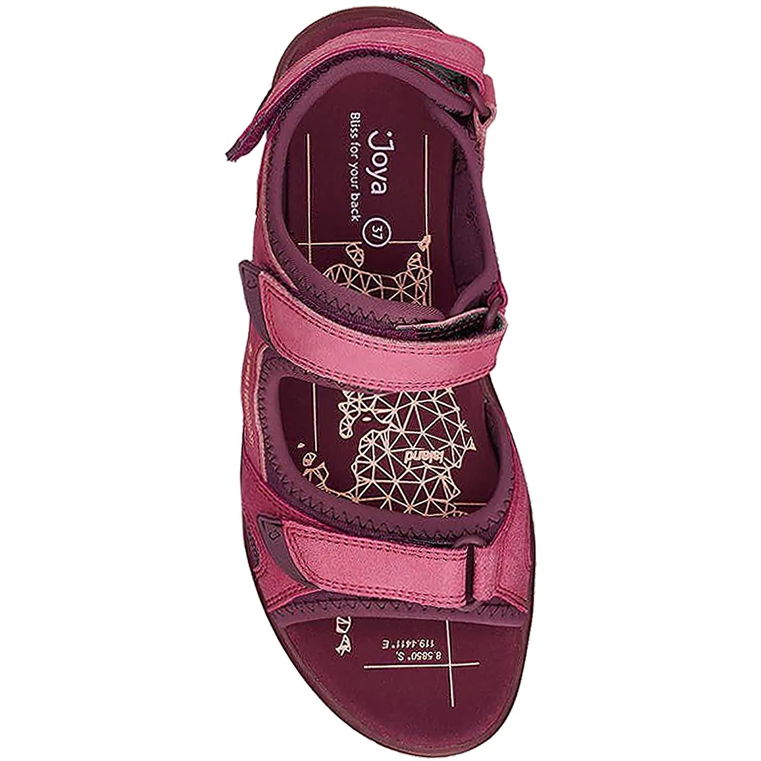 Women's Joya Komodo Violet Leather